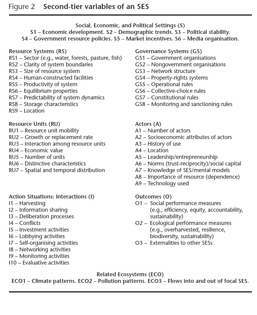 Compare and contrast essay thesis statement